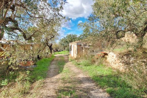 Finca i Tivissa, Tarragona, Tivissa - € 98 000 | Ref: CC833 - foto 17